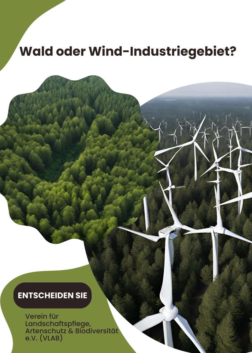 🌳 Wichtige Entscheidungen stehen an: Eltville am Rhein und Altötting entscheiden bald über Windkraft. Klar ist: Bäume gehören in den Wald, nicht Windräder! Erhaltet unsere Natur, stimmt gegen Windkraft in sensiblen Gebieten. #Naturschutz #Bürgerentscheid #Waldschutz