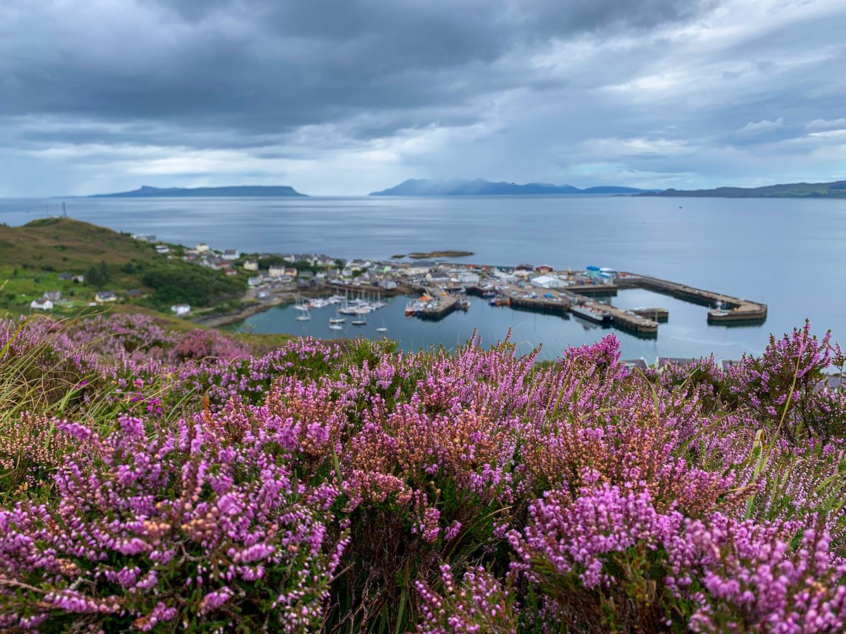 Witnessing the Blooming Heather in Scotland with Sleight’s UK and Ireland DMC is for those seeking an unforgettable adventure. For details WhatsApp 1-917-940-2407 #dominiquedebaycollection #luxurytravel @sleigh_uk #ScotlandsFinest  #Scotland #HighlandHeather #Nature'sArtistry