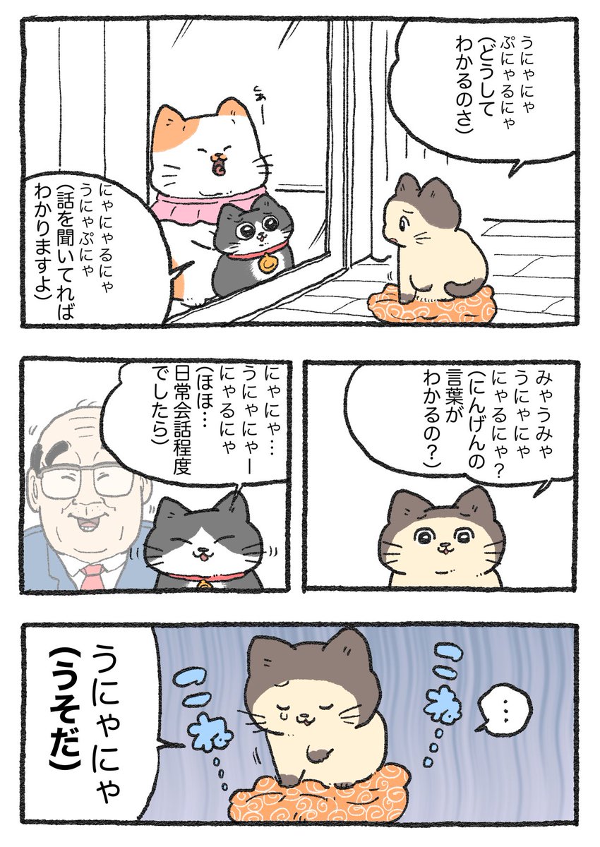 yajima_en's tweet photo. ねこに転生したおじさん。その381 https://t.co/KGIuagWEN4