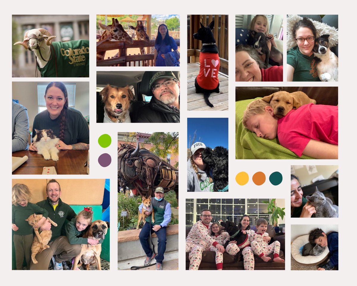 CSU Civil and Environmental Engineering tweet media