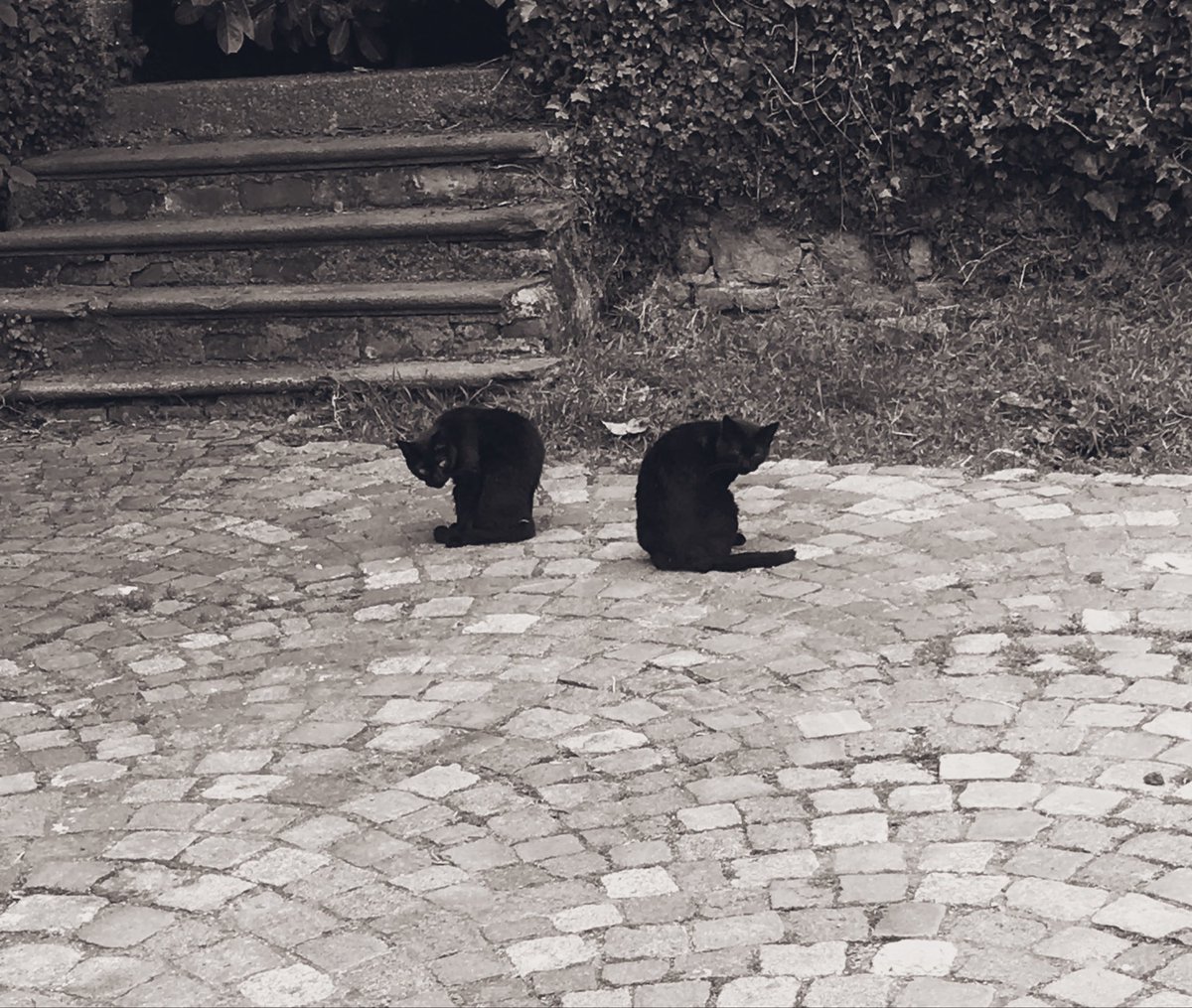 EmSS_4's tweet photo. #Two4Tuesday #TwoForTuesday #TuesdayTwo https://t.co/7AzaiaKw1K