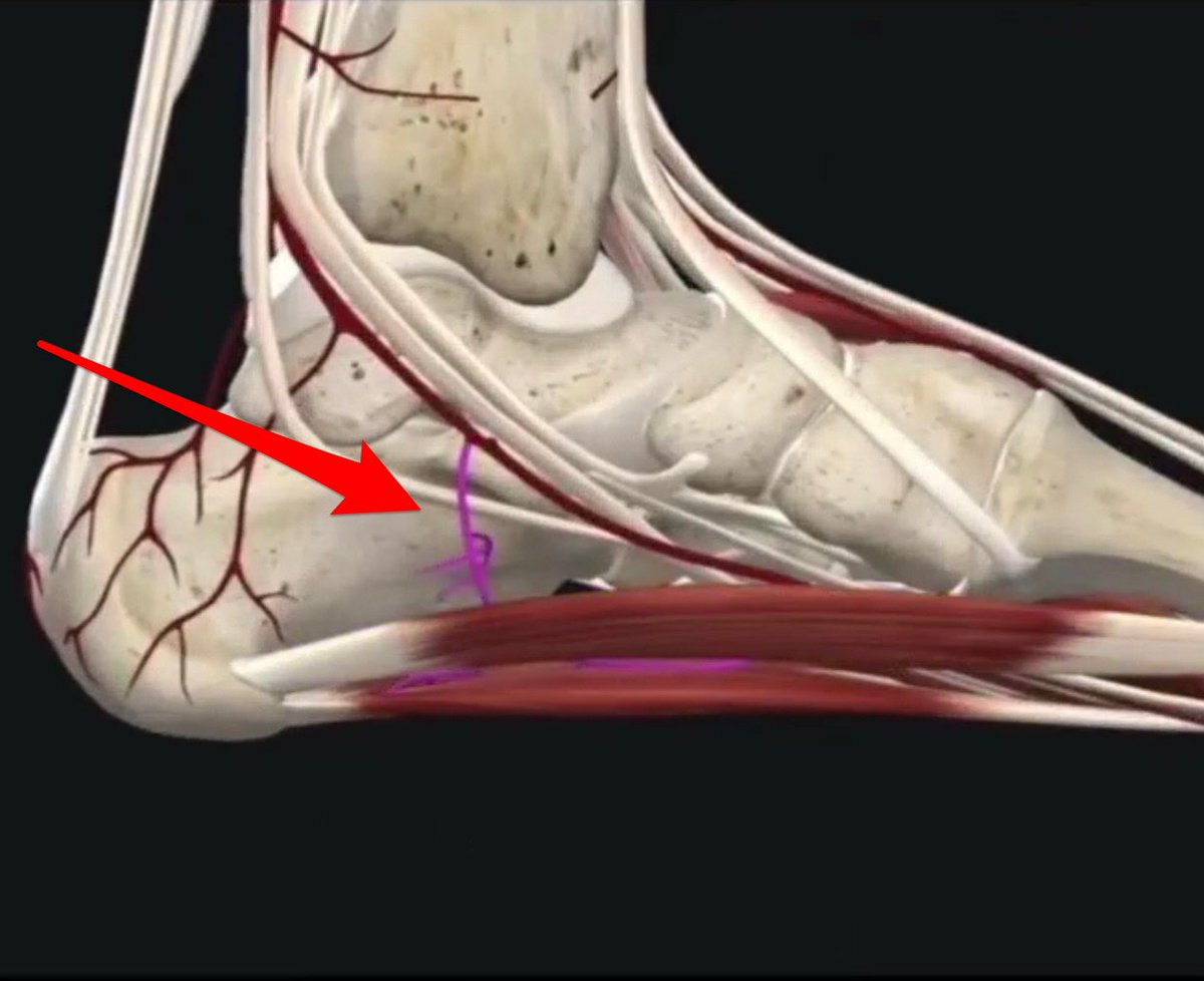 Will🦶🏼 tweet media