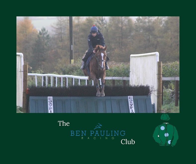 benpauling1's tweet image. #TheBenPaulingRacingClub has two new recruits 🏇🏻🏇🏻👀 

We’d love to have you join the #BPRC - yard visit coming up, head to our website to find out more. 

 ➡️benpaulingracing.com/racing-club