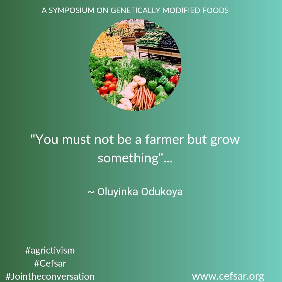 reallKAT's tweet photo. More conversations #GeneticallyModifiedFoods https://t.co/9MdqDMIifA