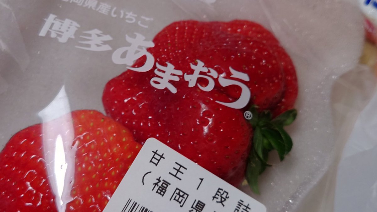 ◆苺◆ 苺 スカイベリー (約280g×2パック/1箱） 栃木県JAうつのみや産: とちぎ