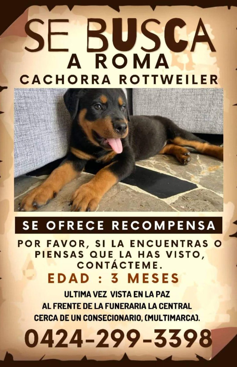 Su familia sigue buscando a Roma, desde el 13 de febrero 2024. Caracas Urb La Paz - El Paraiso