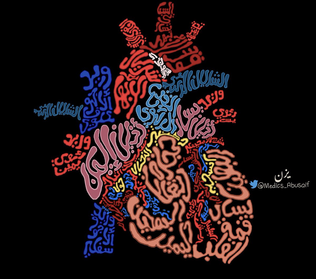 رسمتي لتشريح القلب، باللغة العربية 'حرفيًا' 😂