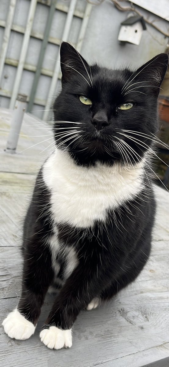 Debbie Price 🐝 tweet media