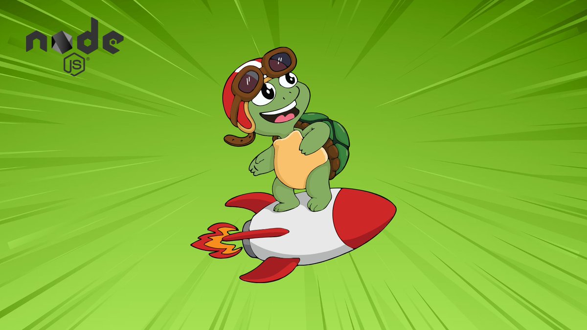 Meet Rocket Turtle 👋