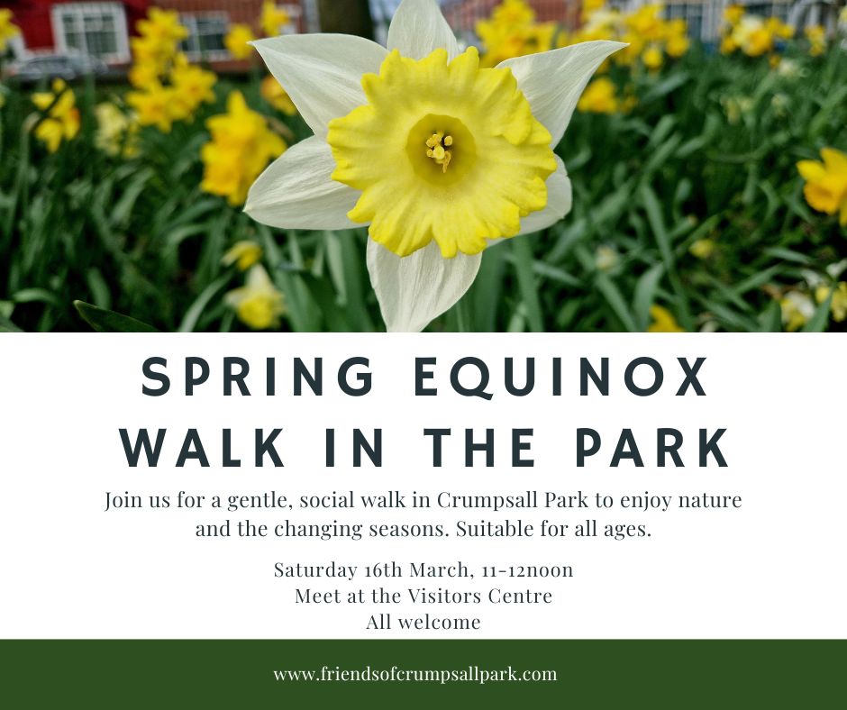 🌼 We have a new series of social walks in the park this year, each one themed around a different season. The first will be on Sat 16th March, and it's a Spring Equinox walk. Come & join us to celebrate the start of spring and enjoy nature on a friendly wander round the park! 🌼