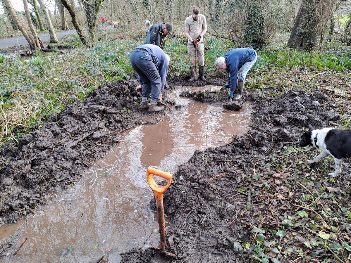 Yesterday down Green Drive, we continued with ditch maintenance by damming an old ditch and diverting water into an extended soakaway. The aim of this is to hold water on site for longer, slowly the rate it reaches surrounding water courses, reducing the flood risk downstream.