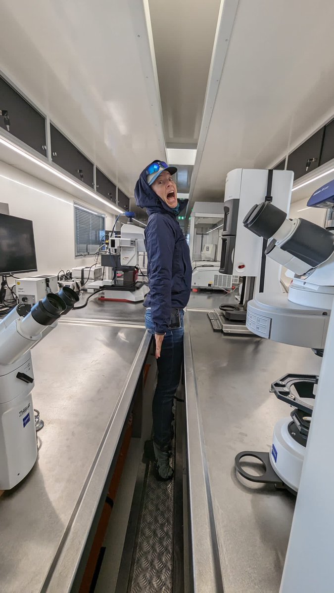 Tinadynamics tweet media