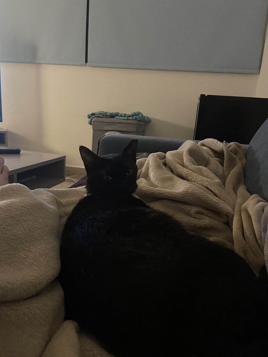 Wstalam o 4 rano wlazlam do lozka i upierdzielilam ojca w noge, chyba bolalo bo sie zesral🤷‍♂️