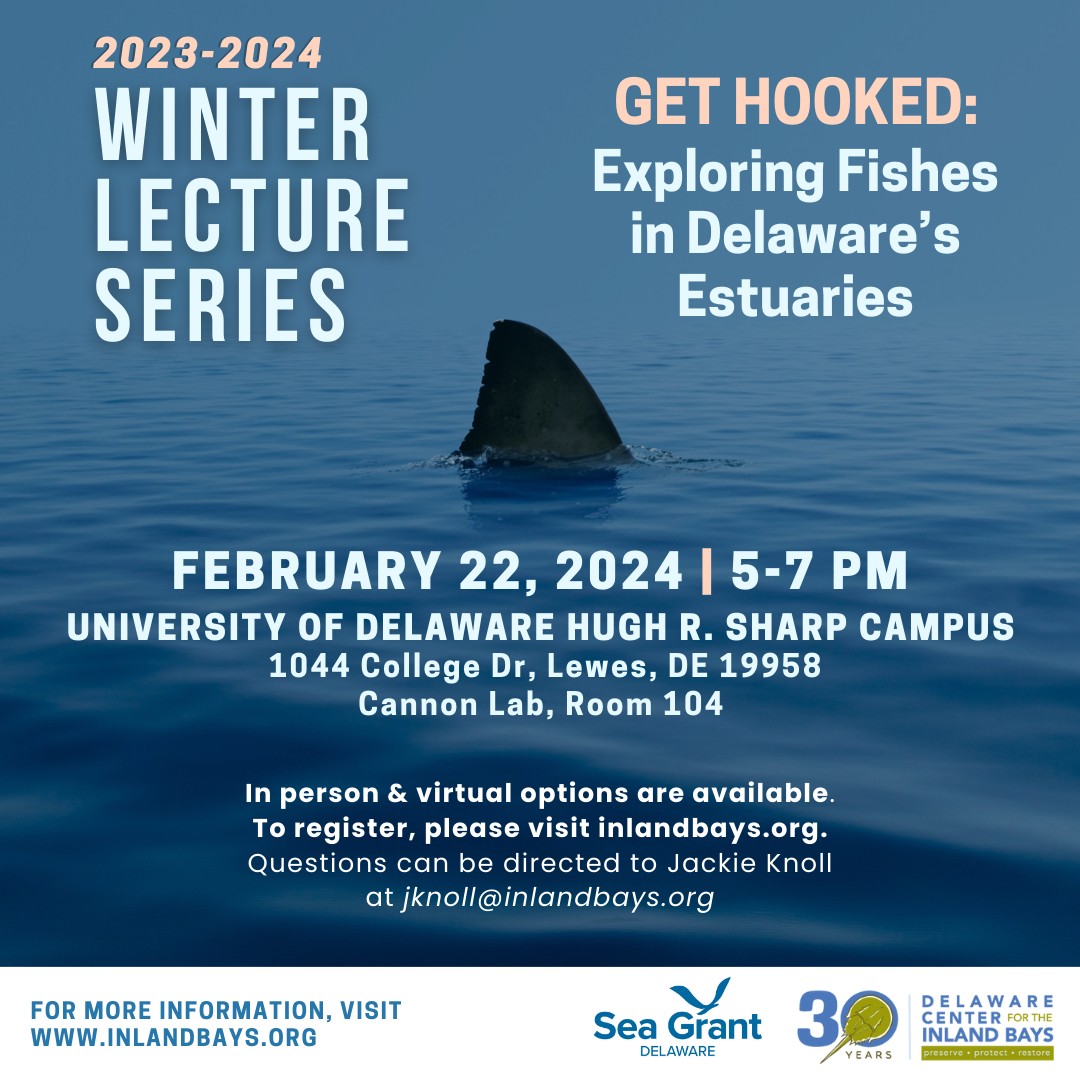 DESeaGrant's tweet image. ICYMI: The Delaware Center for the Inland Bays' second Winter Lecture Series session features DESG partner and #UDel's Dr. Aaron Carlisle presenting "Get Hooked: Exploring Fishes in Delaware's Estuaries" on 2/22. Learn more and register at the link. docs.google.com/forms/d/e/1FAI…
