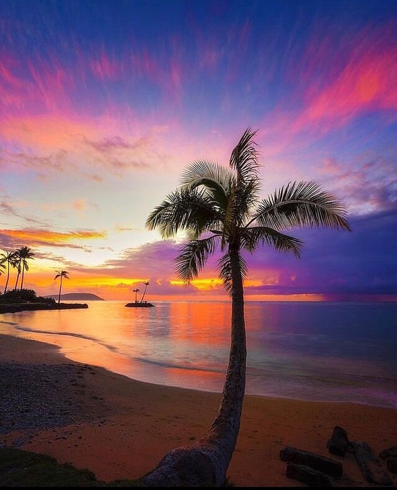 Good Evening From Hawaii