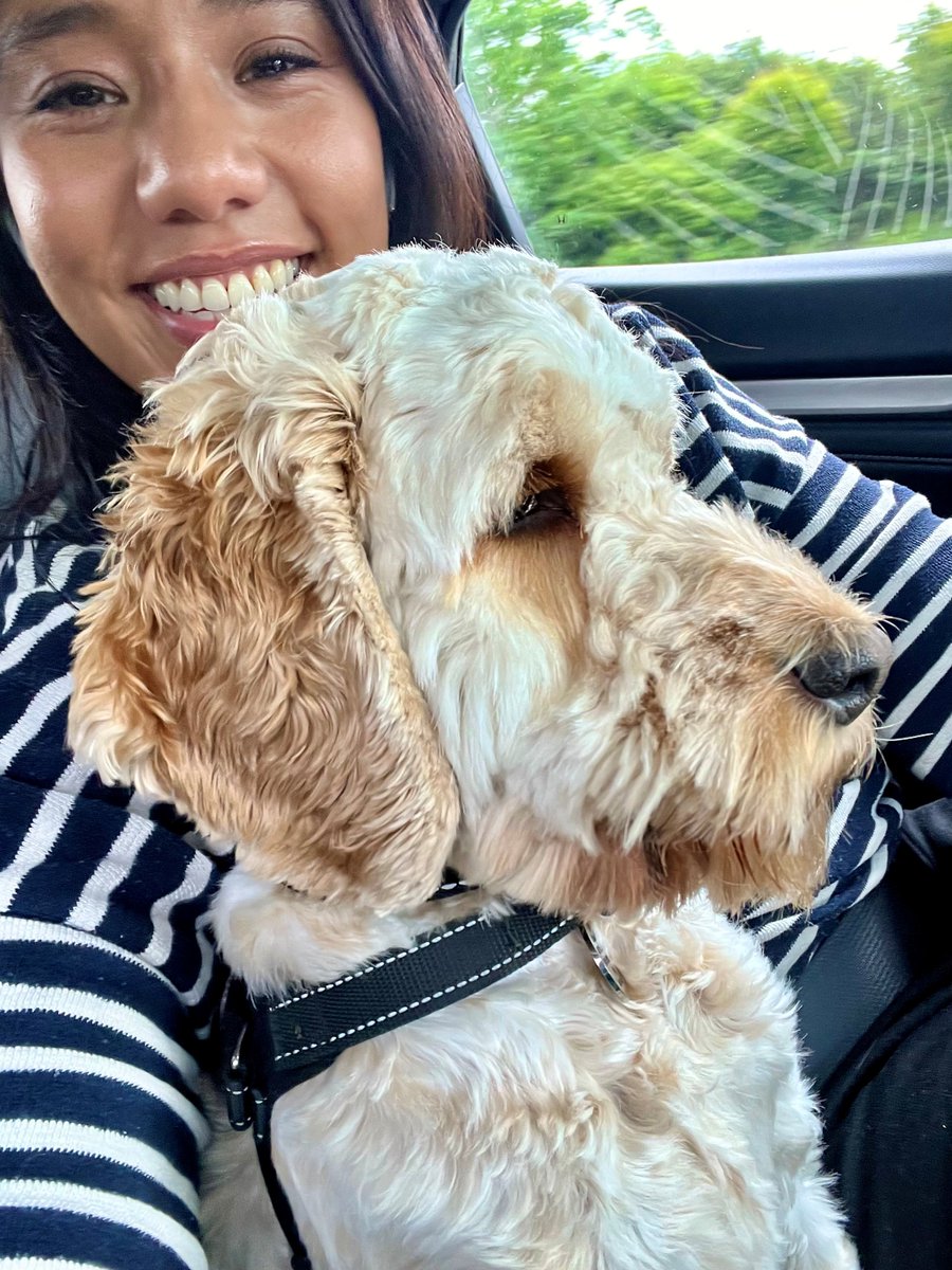ed_pr's tweet photo. Senior Campaigns Manager @sabs_m with her family pet Milo who loves a cuddle and watching the world go by on long car journeys #NationalLoveYourPetDay 🐕 https://t.co/3AzOjDza5A