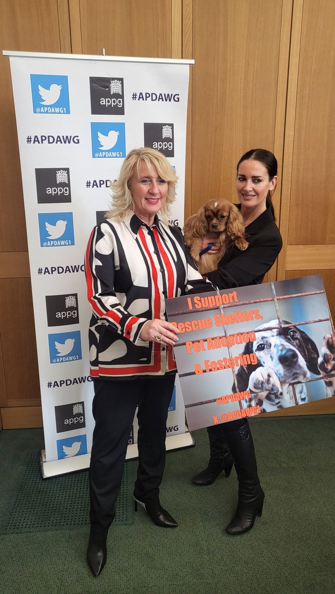 CC Dog Rescue (@ccdogrescue) on Twitter photo #Westminster <a href="/TheRealKirstyG/">KIRSTY GALLACHER</a> and <a href="/marcthevet/">Marc Abraham OBE</a> <a href="/APDAWG1/">APDAWG</a> promoting animal welfare and the contribution dog rescue charities provide.. Animal Welfare Reform NI #Westminster <a href="/TheRealKirstyG/">KIRSTY GALLACHER</a> and <a href="/marcthevet/">Marc Abraham OBE</a> <a href="/APDAWG1/">APDAWG</a> promoting animal welfare and the contribution dog rescue charities provide.. Animal Welfare Reform NI