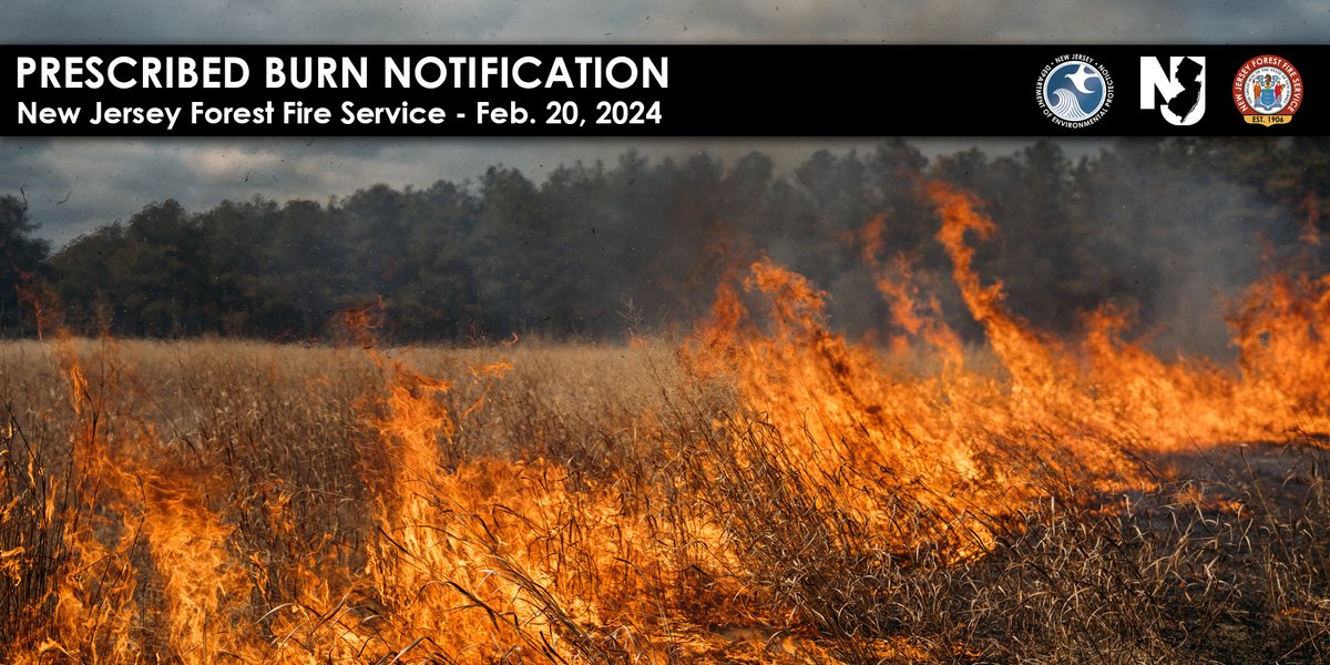 Today, Feb. 20, @NJDEPForestFire will be conducting prescribed burning in Ocean county.

🔥 Active / upcoming prescribed burn map: njparksandforests.org/fire/infotools…
🔗 More info about prescribed burning: nj.gov/dep/newsrel/20…