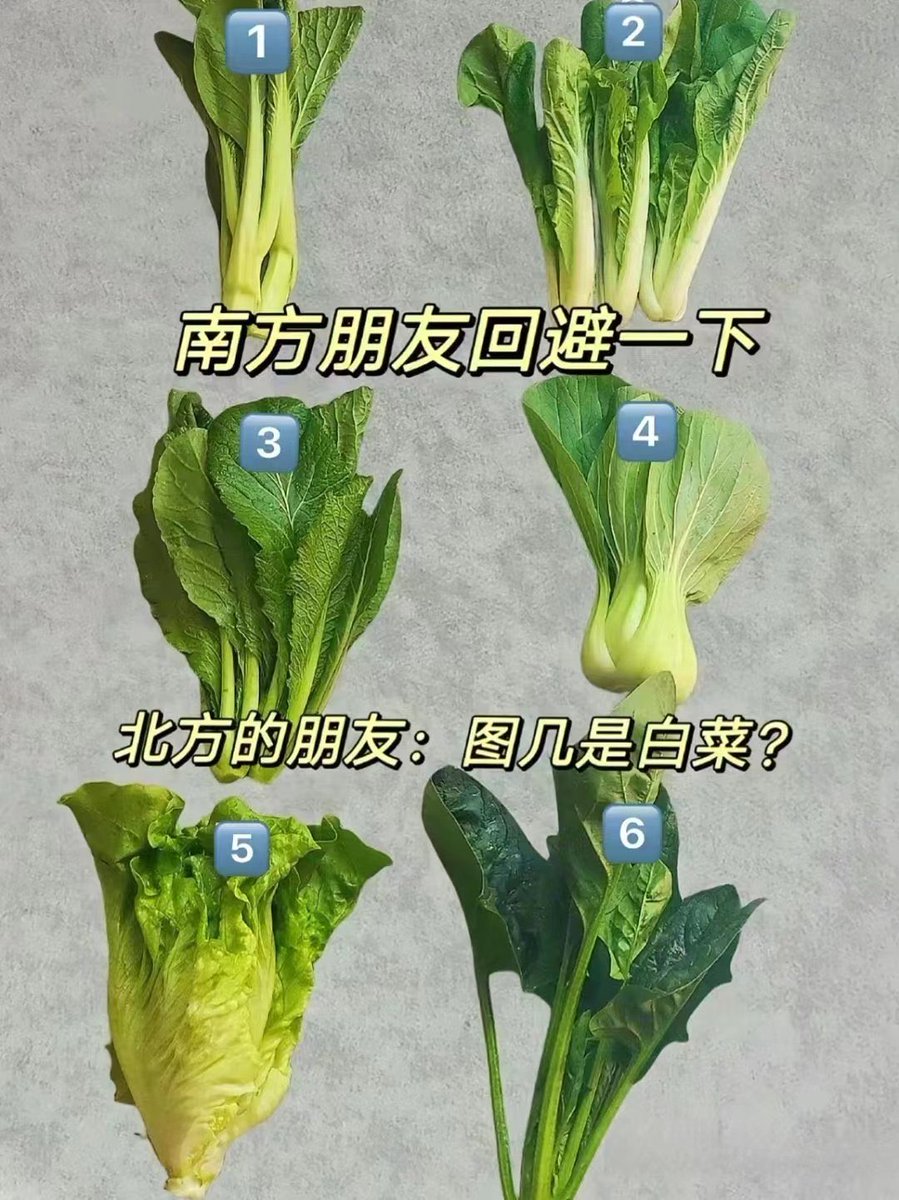 1. Choy Sum/菜心2. 白菜/小白菜3. Mustard leaves 4. Bok Choy/上海青5. Lettuce/生菜6.  spinach/菠菜求教2的英文和3的中文