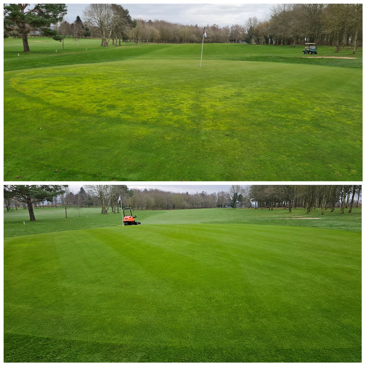 11 months difference between the pictures, top ones from my 1st course walk b4 my interview <a href="/CandBGolfClub/">C&BGC</a> and bottom pics taken today. Over the moon with how the greens have come on and in great shape with the season just ahead ⛳️ 🏌️‍♂️