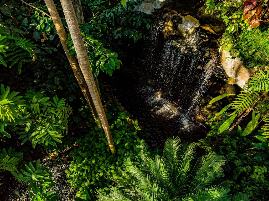 Counting down the days until spring? Escape the St. Louis chill by retreating to the Climatron greenhouse at @mobotgarden during your stay this season. via Cassidy Moody