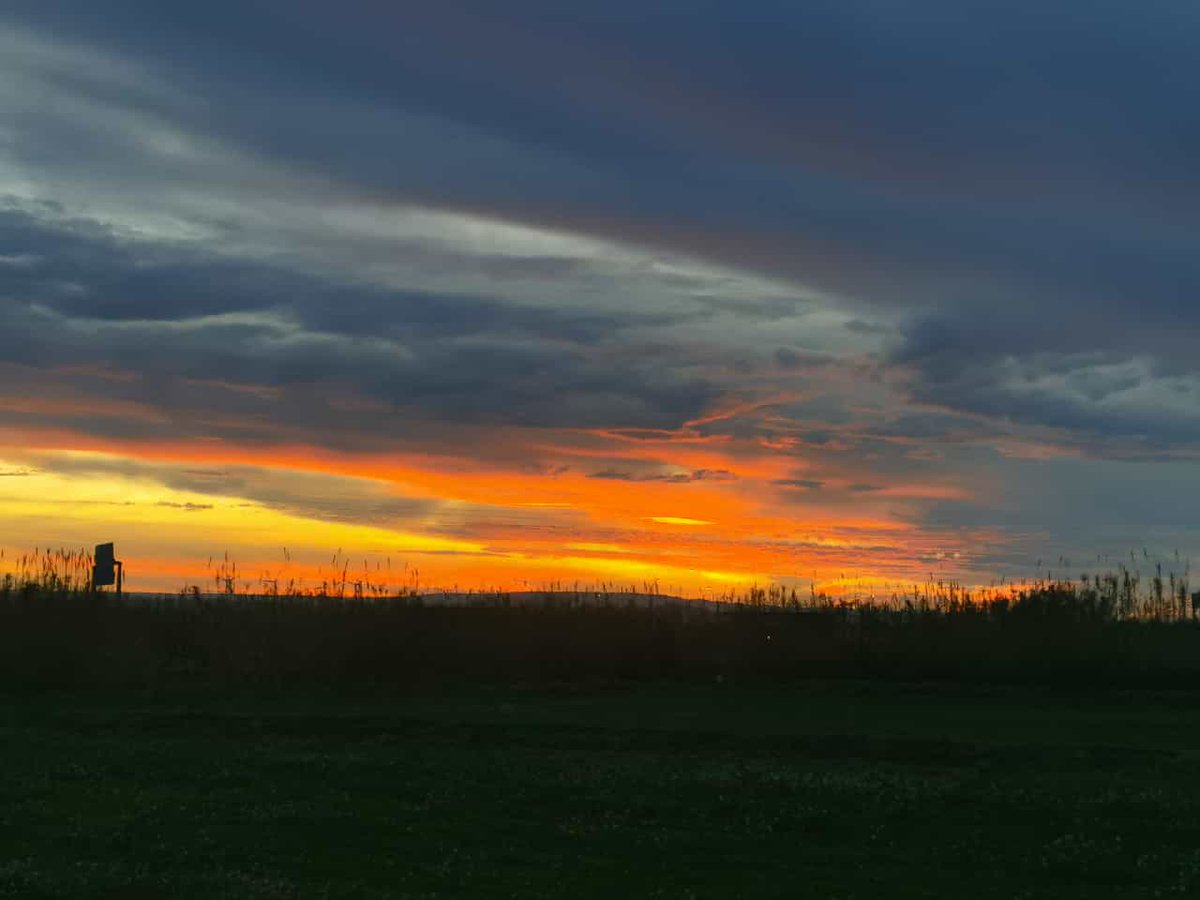 📍 Villafranca de Ebro

📸 Lidia Montserrat

#EstaEsMiTierraATV #fotodeldía <a href="/aragontv/">Aragón TV</a>