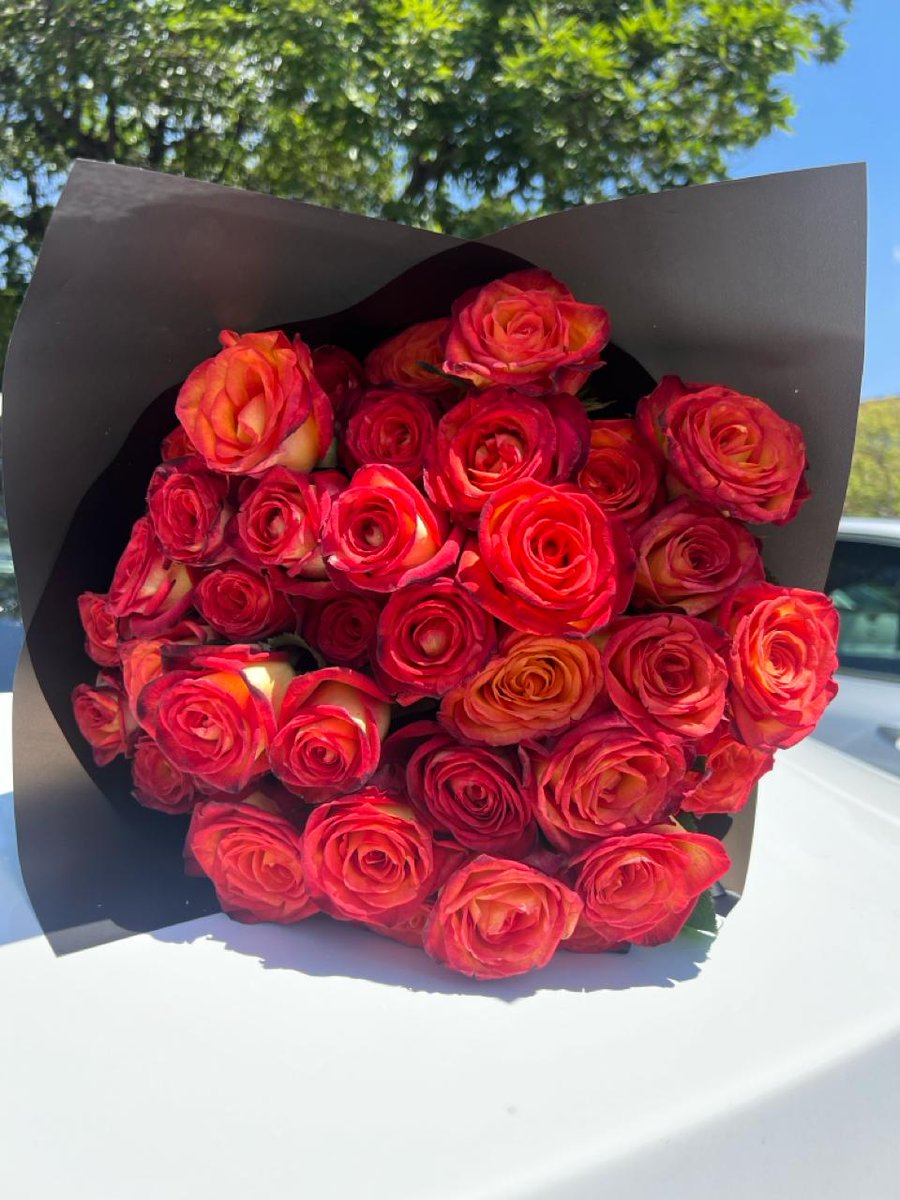 SolesParlour's tweet photo. 🌹🌹🌹🌹🌹🌹🌹🌹🌹🌹🌹🌹🌹
İt's still the month of love 💝

Get yours a bouquet of roses 🌹

Follow: luna.blomst (IG)

@LunaBlomst (X)

Contact: 071 185 4125

Free Delivery In Johannesburg &amp; Pretoria

Edwin Sodi Zinhle Nale Kairo Sovo Yaya Vodacom Sandton Rd JMPD Gauteng Sundowns https://t.co/1c7bcgCScK