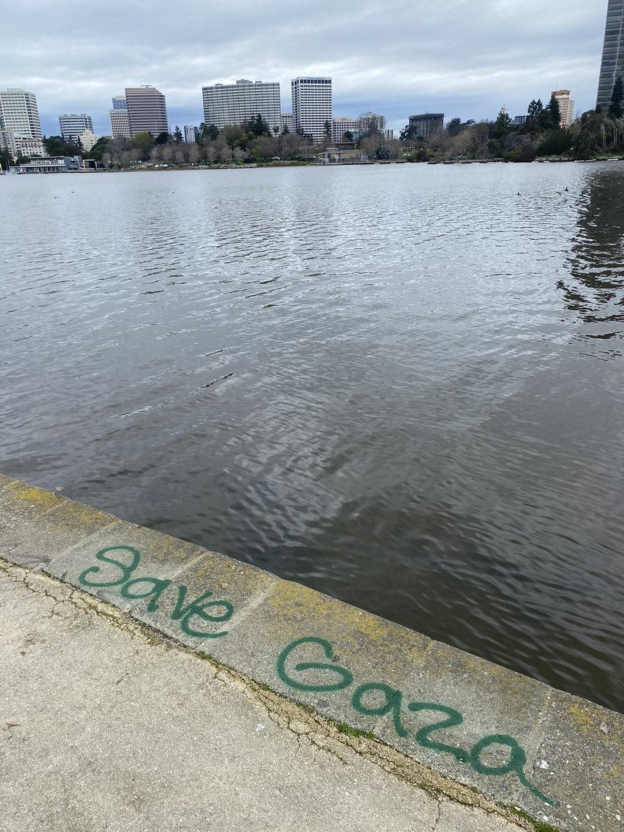 yasmin🇵🇸 tweet media