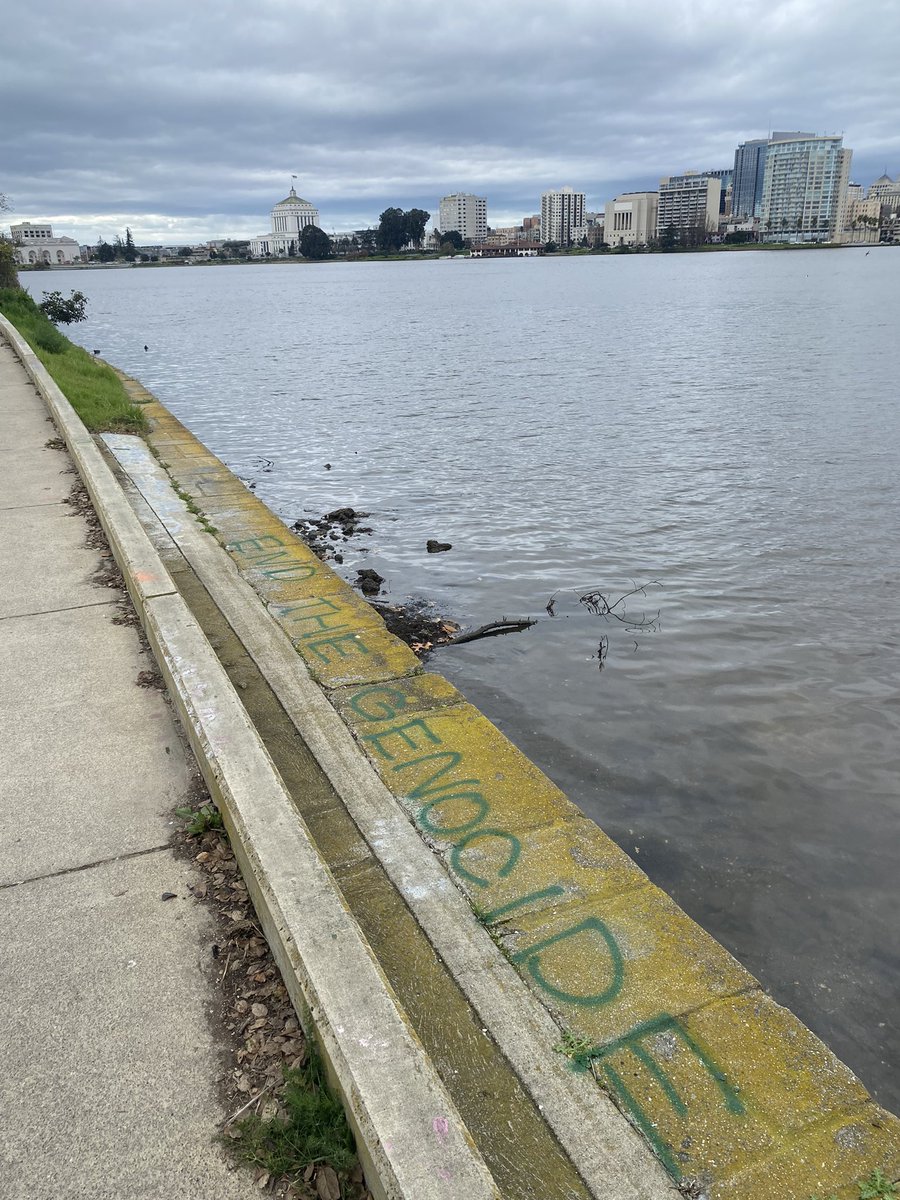 yasmin🇵🇸 tweet media