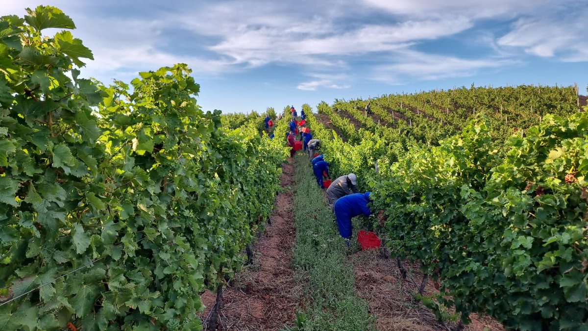 La Motte tweet media