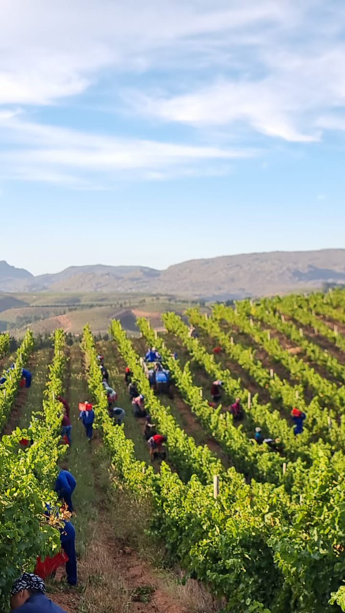 La Motte tweet media