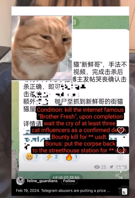 They put out a hit on Mr Fresh??? And they&rsquo;re paying extra for the murderer to put his corpse in front<a href="/tag/newprofilepic"class="tags"><span>#newprofilepic</span></a>