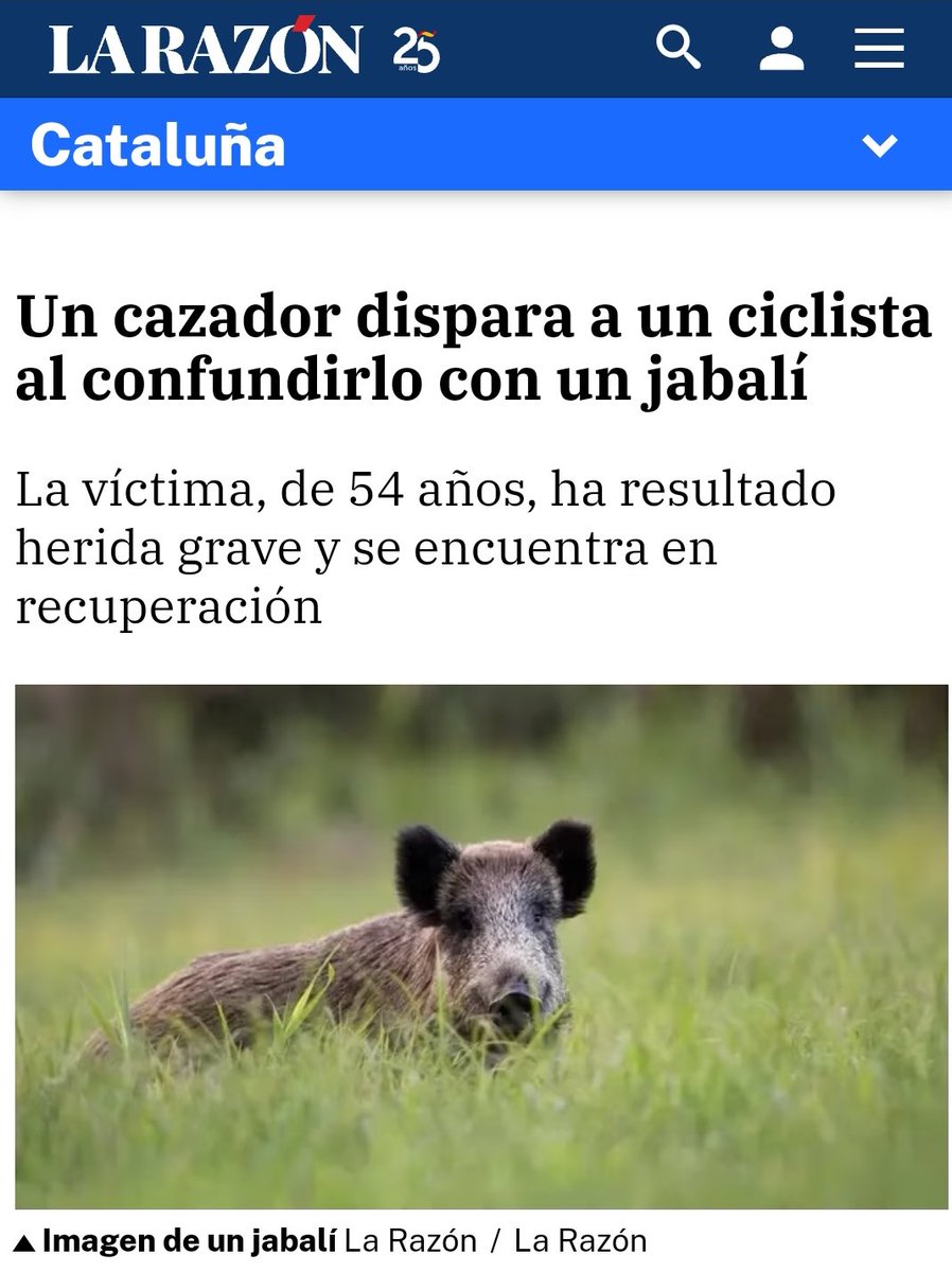 AlbertoRSaeta's tweet photo. No como vosotros que confundís jabalíes con osos, linces o ciclistas. https://t.co/qH85pAlnyR