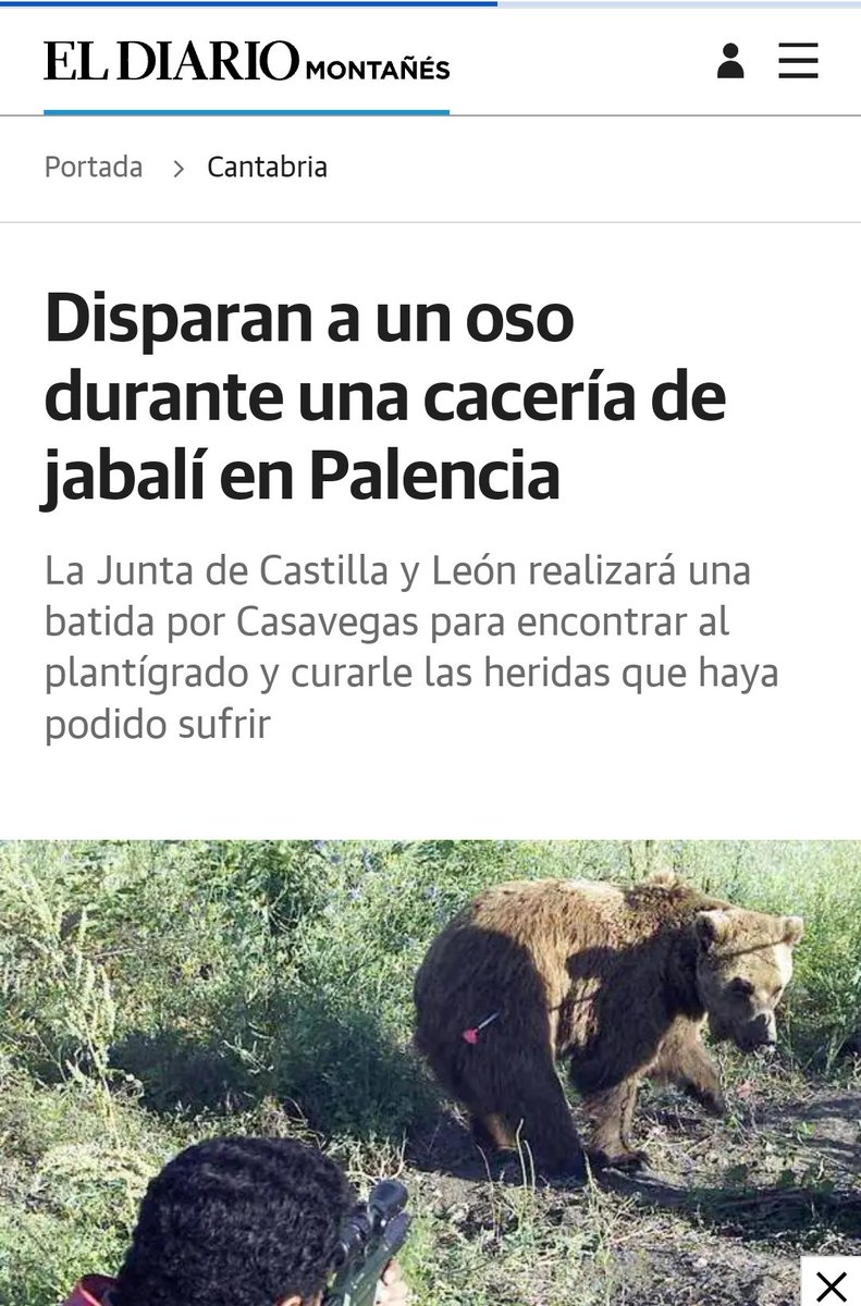 AlbertoRSaeta's tweet photo. No como vosotros que confundís jabalíes con osos, linces o ciclistas. https://t.co/qH85pAlnyR