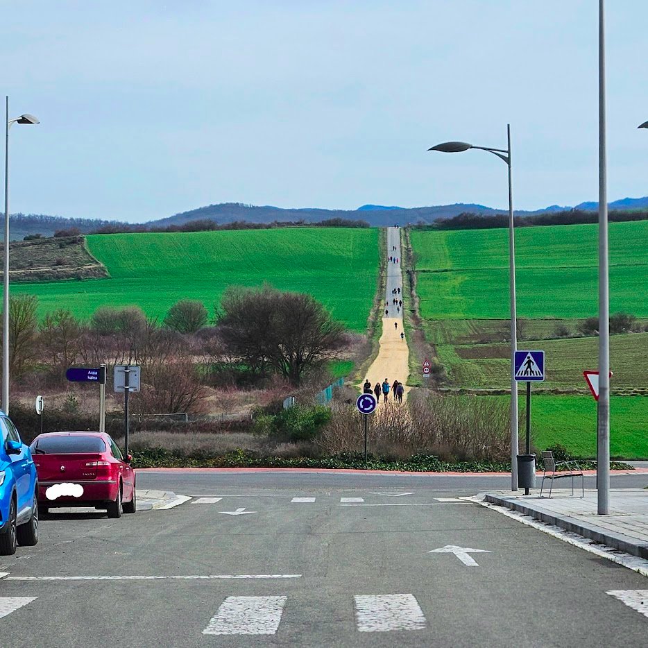 guilleaer's tweet photo. La naturaleza que rodea @vitoriagasteiz  es un auténtico lujo y disfrutarla paseando es un gozada. Sin embargo, la falta de pasos de cebra y semáforos en carreteras como la A-2124 supone un riesgo real para la seguridad de los peatones. @BeaArtolazabal @VG_Policia @arelegi https://t.co/iVXcyB5IBo