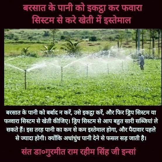 Organic #FarmingTips are the necessity of this age. #AgricultureTips for #OrganicFarming by Saint MSG are really unique. By adopting their #Farming techniques anyone can take much more crop yield.
#FarmingTipsBySaintMSG
 #ScientificFarming  
 #AgricultureTipsByMSG #DeraSachaSauda