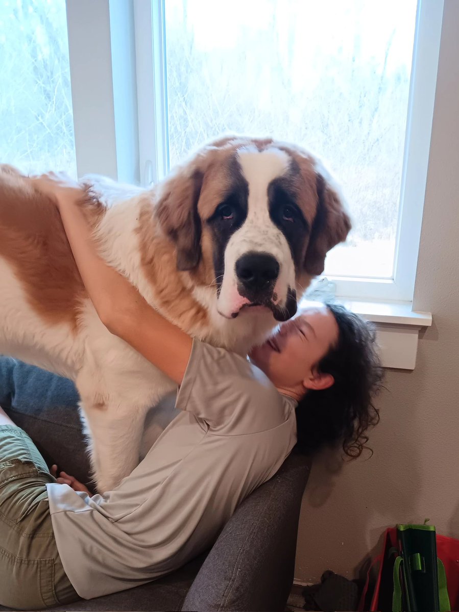 introvertedpnw's tweet image. My heart 💖