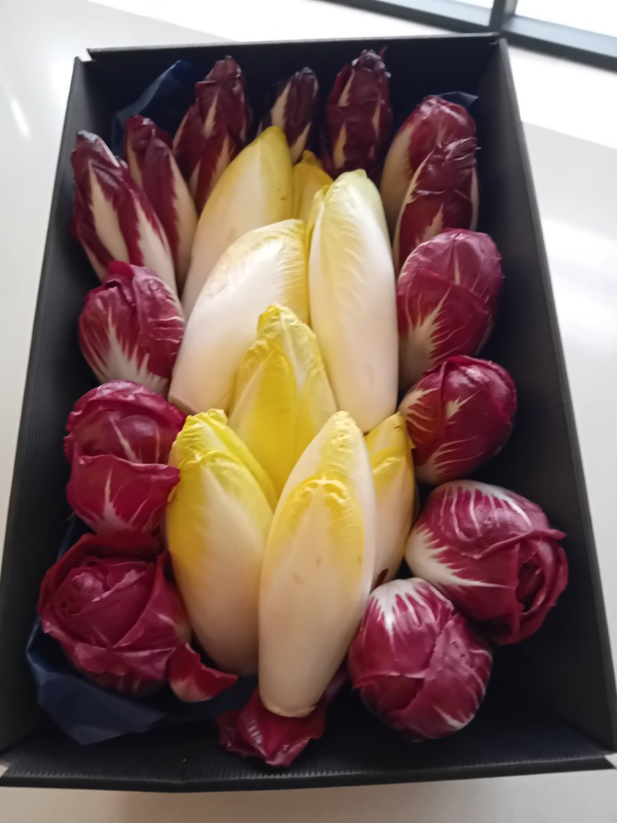 Lesne_MS's tweet photo. Aujourd'hui en Siège de Région, le plus gros événement des filières endive et chicorée.
Plus de 300 acteurs réunis pour sauver ces filières emblématiques de notre territoire.

@xavierbertrand https://t.co/AQdqhsLBZp