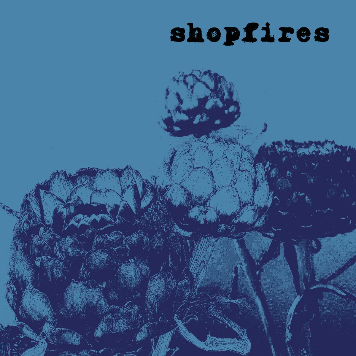 shopfires (@neilhill170338) on Twitter photo 