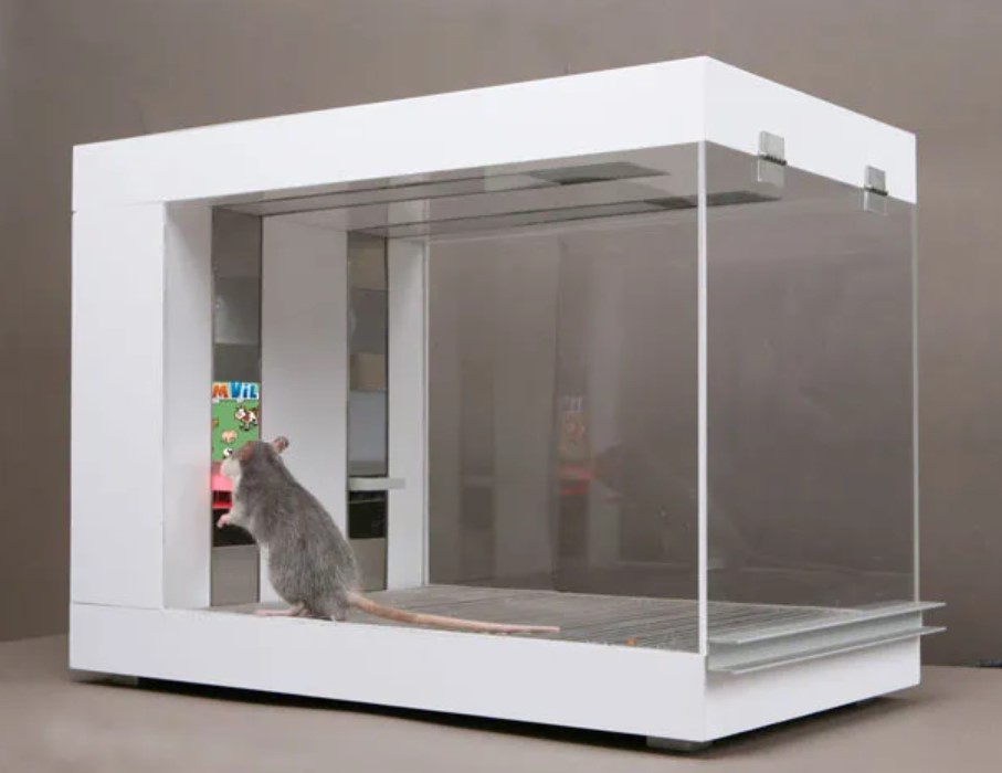 BillDavidow's tweet image. By combining #BigData, #BehavioralTargeting, wearable and mobile devices, and GPS, application developers can design more effective operant conditioning environments and keep us in a virtual #SkinnerBox as long as we have a smart phone in our pockets. 

ow.ly/spUS30pqau9