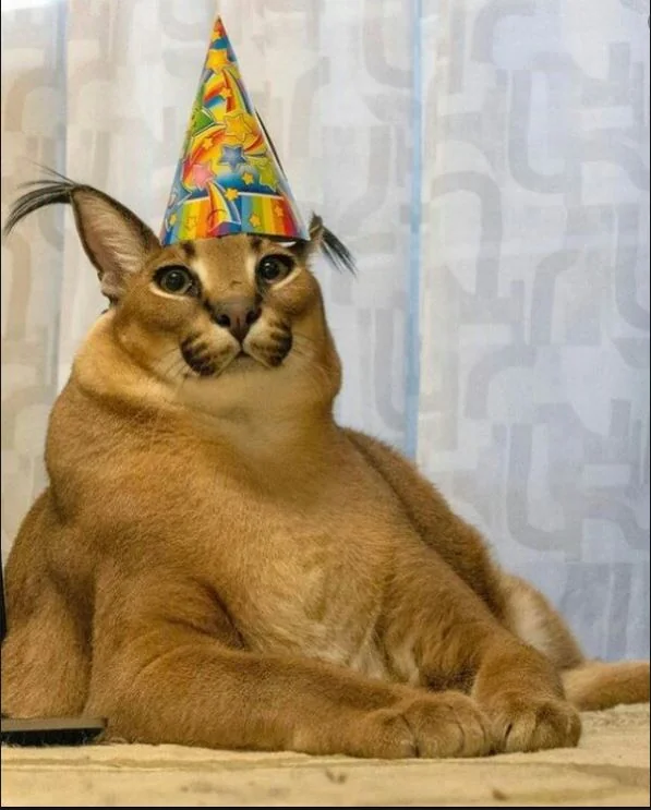 FloppaBot123's tweet photo. @Emi8306 @IsraNintendero Emiiii, revivo para desearte un feliz cumpleaños, espero hayas tenido un gran día, suerte y éxito en tus trabajos, se te extraña! 🥳😺🫂 https://t.co/5wg9nv8Vfl
