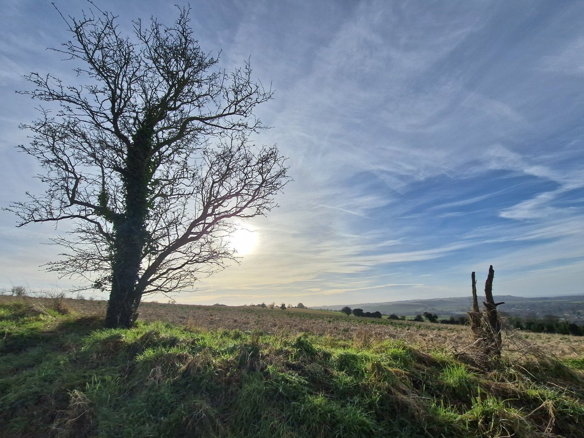 Claire Slack tweet media