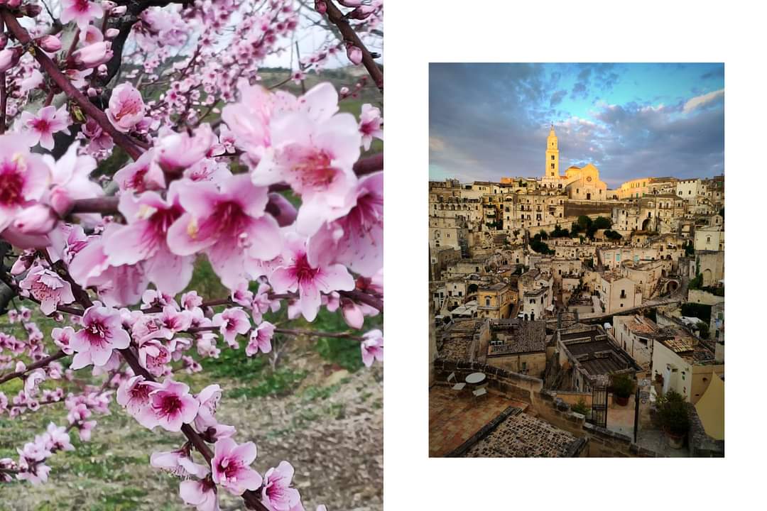 Basilicata 
#terradimezzo #photographylovers #bookphotography #20febbraio