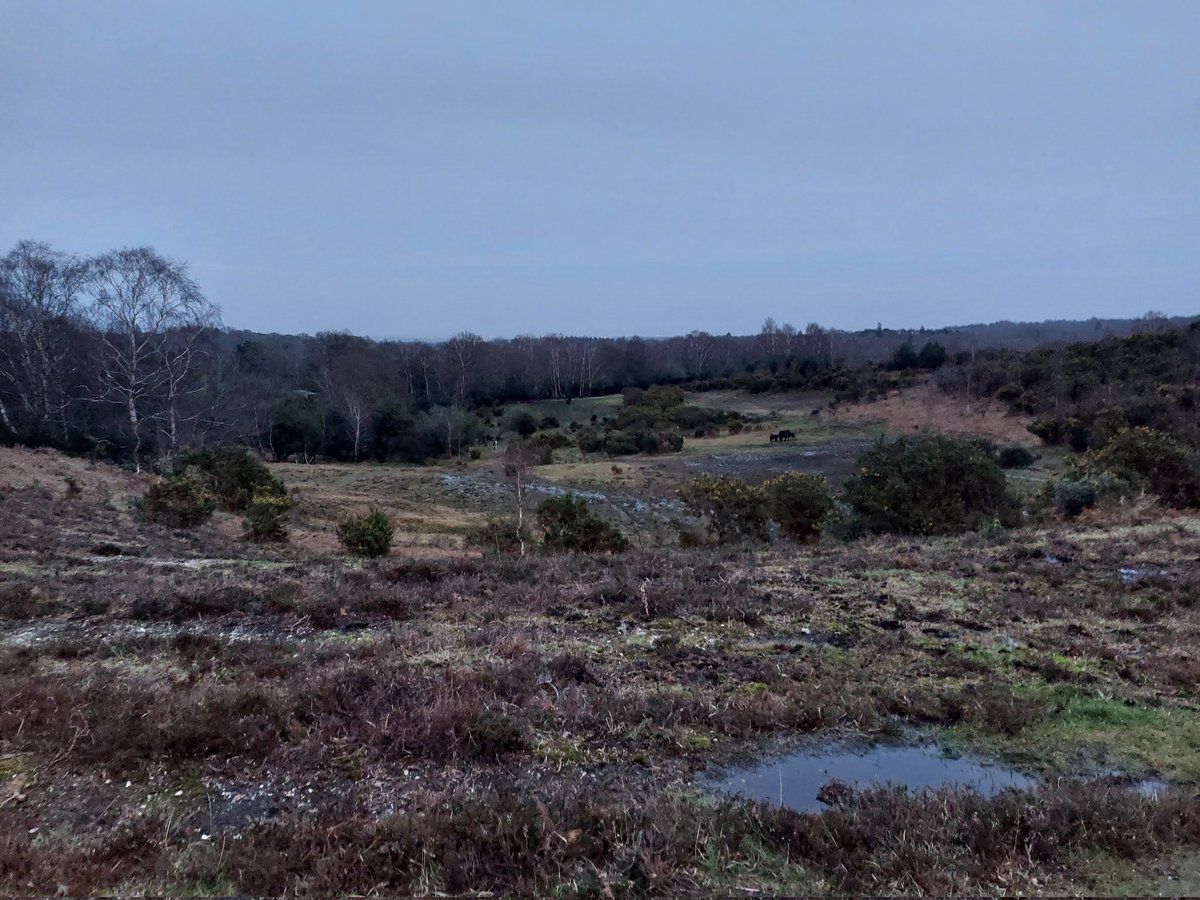 Commoning Family tweet media