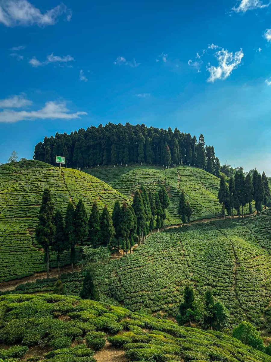 #Darjeeling, #India