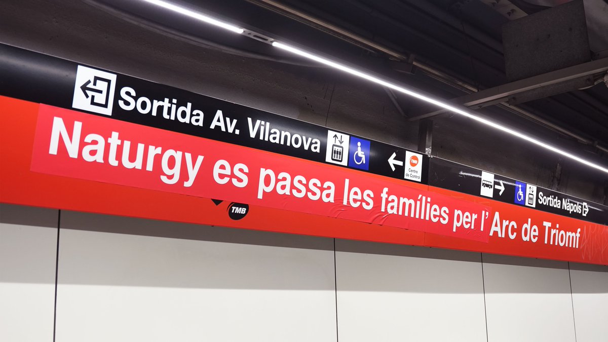 3CatInfo tweet media