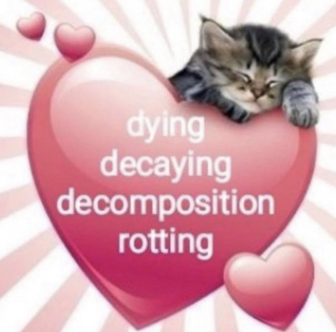 𝒢𝓇𝒶𝒸𝒾𝑒 tweet media