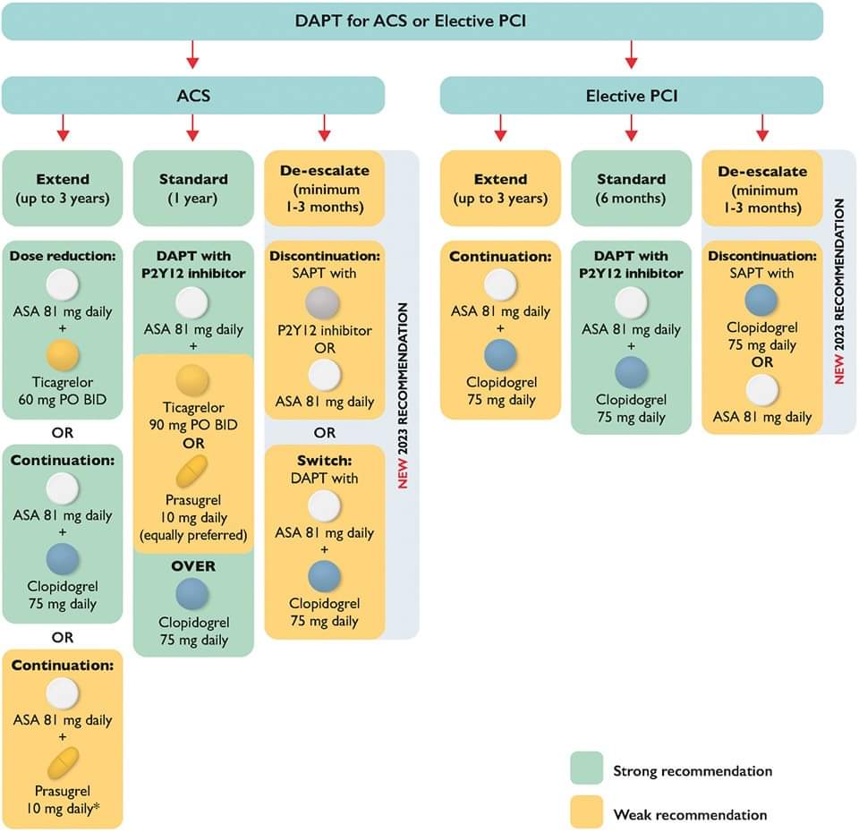 ZHeart11768530's tweet photo. 🔴 2023 Focused Update of the Guidelines for the Use of Antiplatelet Therapy :CCS/CAIC

https://t.co/u4bKuS1yli
#cardiology #CardioTwitter #CardioEd https://t.co/iKcZjKp5Jc