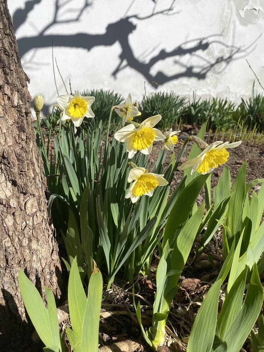 20 febbraio, primavera anticipata