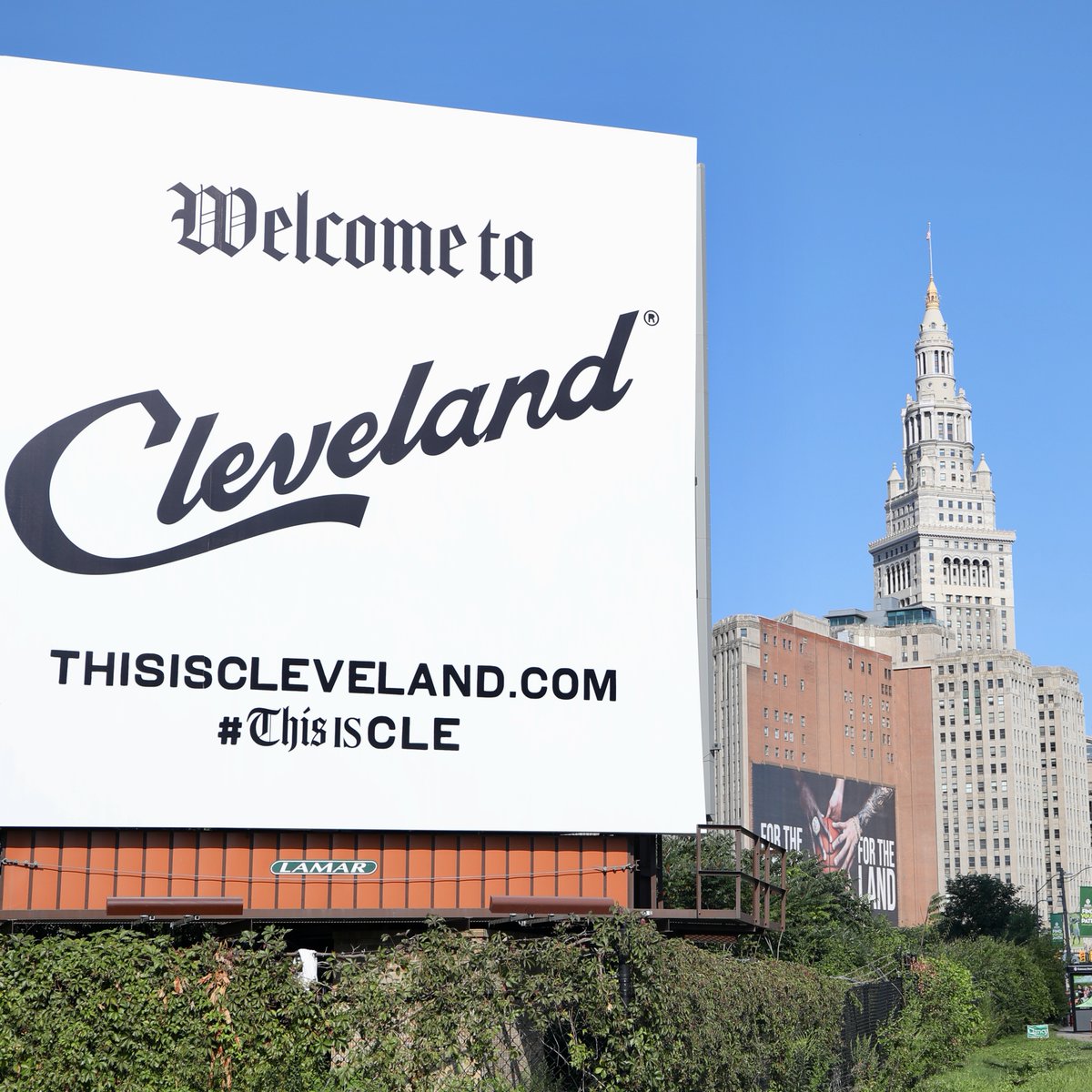 Moss, image size:1200x1200